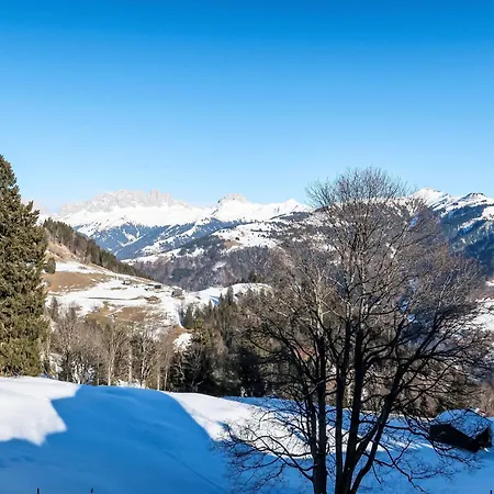 Boertji By Interhome Chalet *