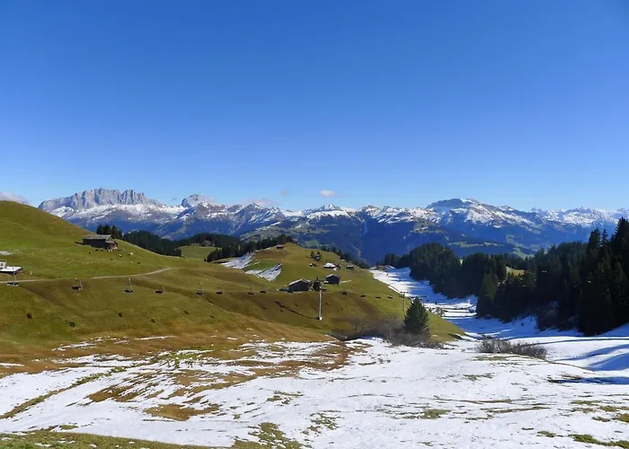 Dağ evi Boertji By Interhome *