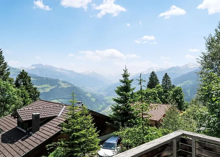 Boertji By Interhome Furna