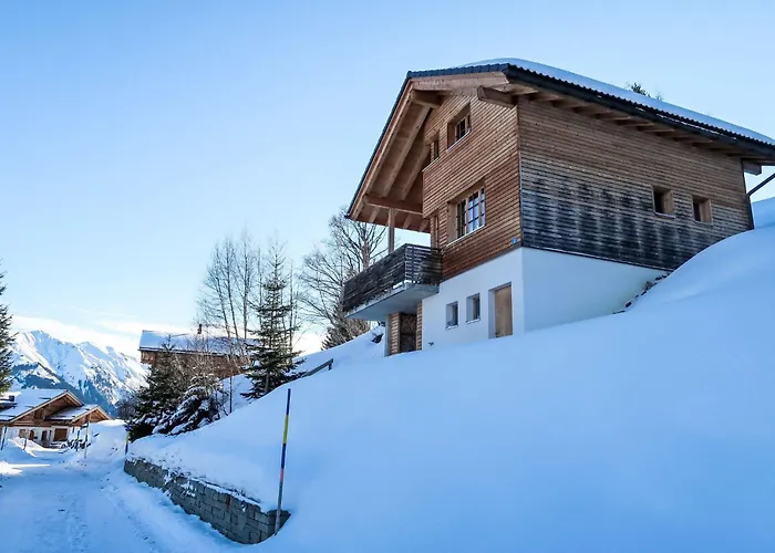 Dağ evi Boertji By Interhome