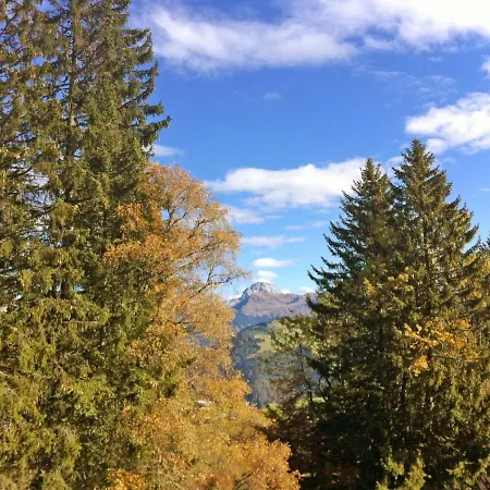 Boertji By Interhome Domek alpejski *